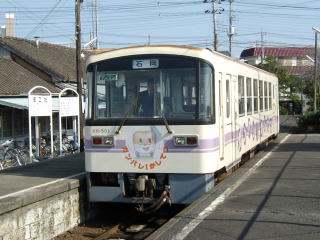 SEgcwɂ